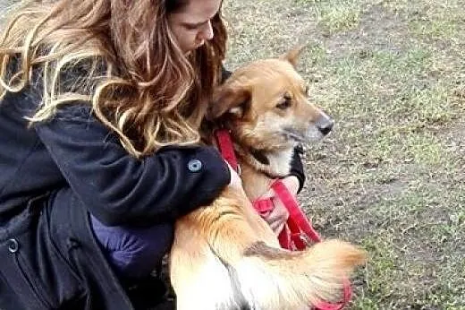 RUDY - Przyjaciel doskonały ! Podaruj mu swoje ser