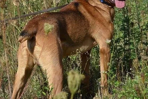 Wojtuś skrzywdzony ale pełen wiary w człowieka do 