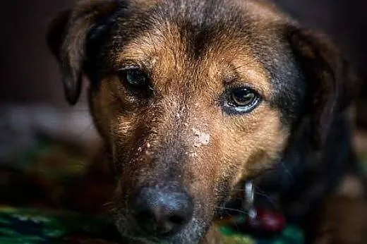 WALIK wspaniały wypełniacz dnia&#127774;,  świ