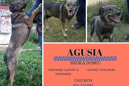 Agusia prosi o ciepły, bezpieczny dom
