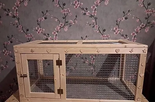 Akcesoria dla gryzoni.
