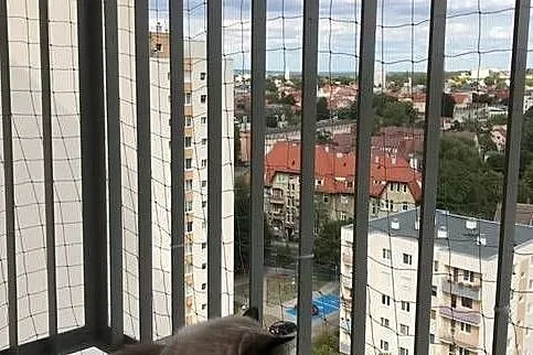 Siatka na balkon, okna, tarasy dla kota Zielona Gó, Zielona Góra