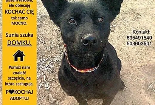 Młodziutka, gładkowłosa Rita, czarnowłosa piękność