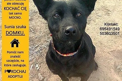 Młodziutka, gładkowłosa Rita, czarnowłosa piękność