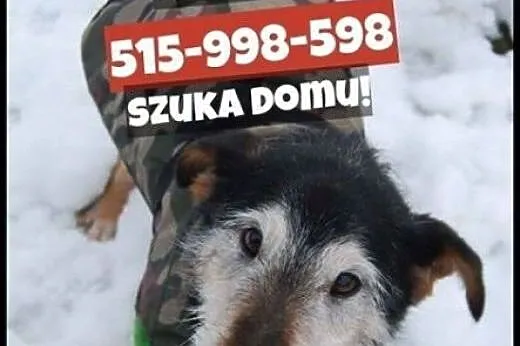Lunes chce Ci ofiarować miłość,  mazowieckie Warsz