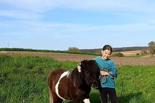 Bezpieczna dla dzieci Kucynka, Zachodniopomorskie, Grzybno