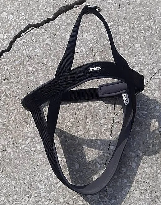 Szelki Nobby, Lubuskie, Żary
