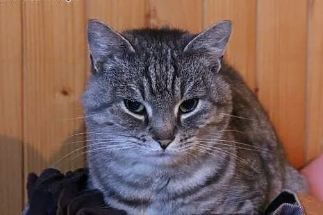 Słodki Robal do adopcji! ♥,  mazowieckie Warszawa