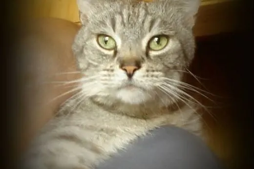 Słodki Robal do adopcji! ♥,  mazowieckie