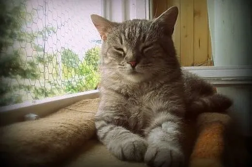 Słodki Robal do adopcji! ♥,  mazowieckie