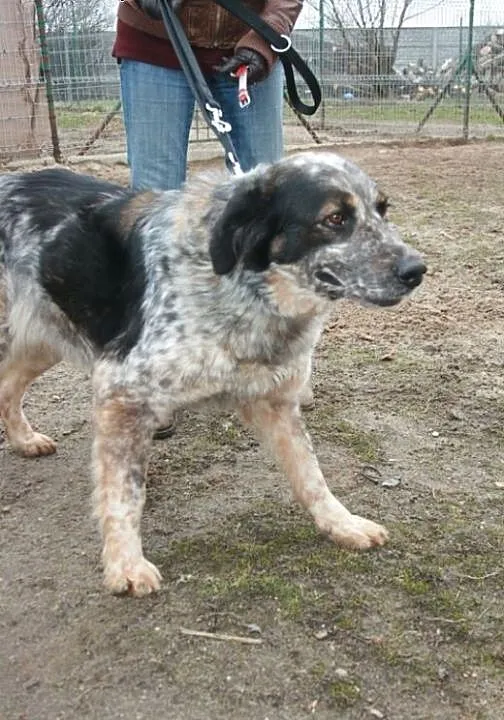 Mam na imię Zoja i mam 5 lat. Całe swoje dotychcz