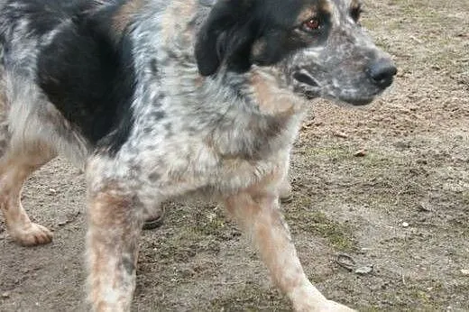 Mam  na imię Zoja i mam 5 lat. Całe swoje dotychcz
