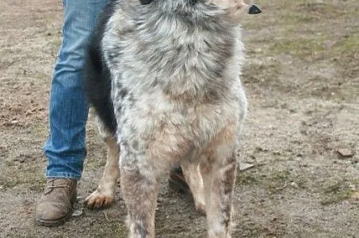 Mam  na imię Zoja i mam 5 lat. Całe swoje dotychcz