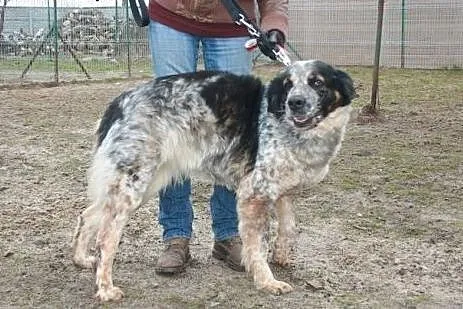 Mam  na imię Zoja i mam 5 lat. Całe swoje dotychcz