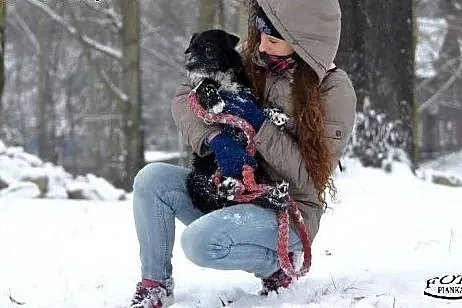 DEJZI młoda sunia szuka kochajągo miejsa na ziemi!