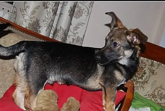 Abrakadabra, Hokus-Pokus i człowieka mam u boku :)