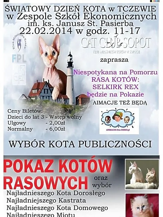 Światowy Dzień Kota TCZEW 22.02.2015