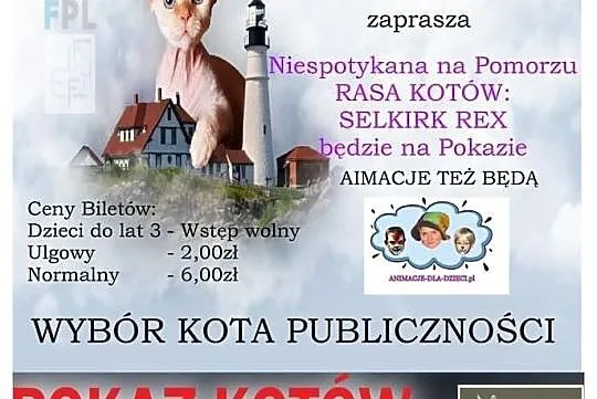 Światowy Dzień Kota TCZEW 22.02.2015