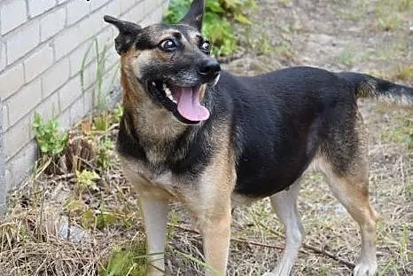 Maja, sunia niepotrzebna nikomu, najcudowniejszy p