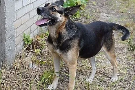 Maja, sunia niepotrzebna nikomu, najcudowniejszy p