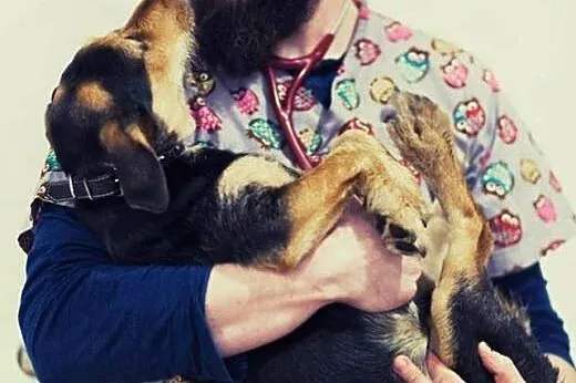 Wspaniały NOREk czeka na domek, pokochaj,  Kundelk