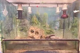 Terarium