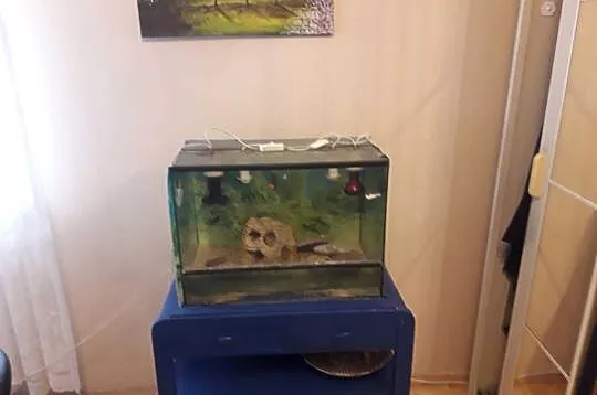Terarium, Podkarpackie, Rzeszów