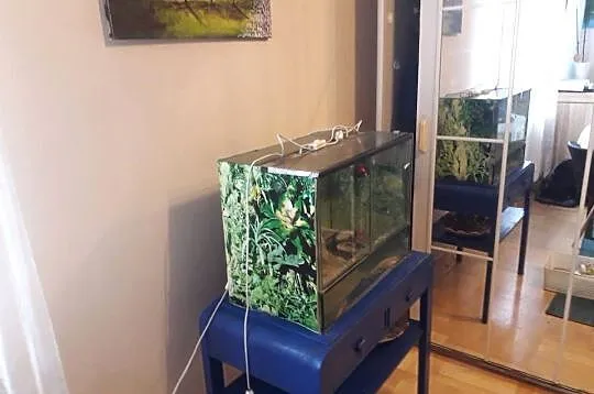 Terarium, Podkarpackie, Rzeszów