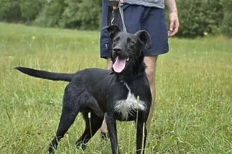 Pokochaj czarnego Platonka - nikt o niego nie pyta