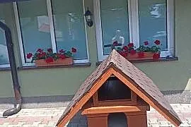 Buda dla średniego psa