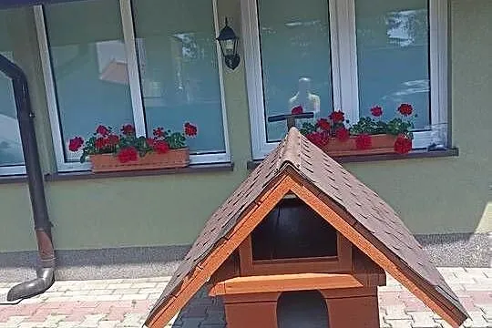 Buda dla średniego psa, Mazowieckie, Pruszków