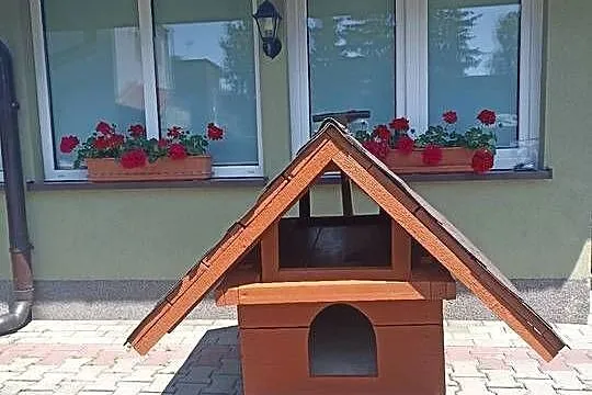 Buda dla średniego psa, Mazowieckie, Pruszków