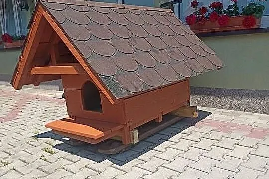 Buda dla średniego psa, Mazowieckie, Pruszków