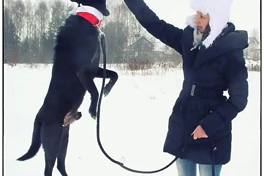 AMOR - pokochaj mnie!