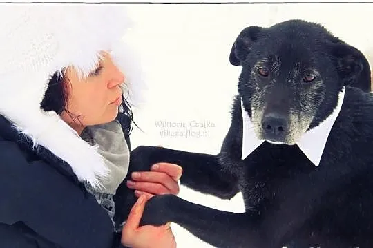 AMOR - pokochaj mnie!