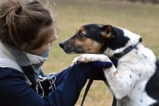 W jednej chwili stracił wszystko.Brytan znowu czek