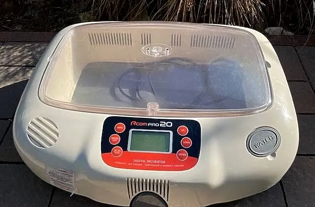 Inkubator R-com pro 20, do klucia jajek, automatyczny, Małopolskie, Kraków