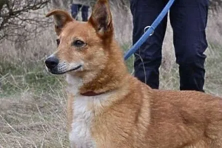 Gabrysia marzy o kochającym i odpowiedzialnym domk