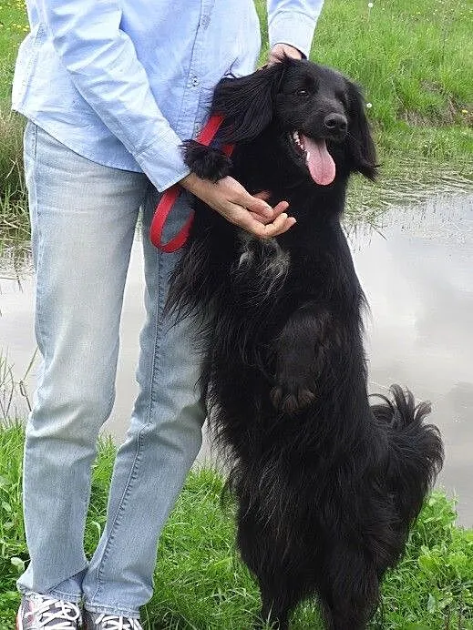 Długowłosa, przyjacielska, łagodna Inez