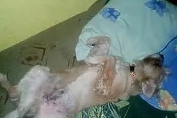 Lolek po przejściach szuka miłości!