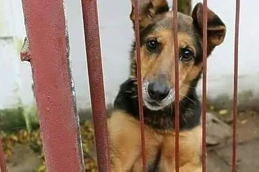 Jestem uwięziona za niewinność! Proszę, zabierz mnie do swojego domu..., Łódzkie, Łódź