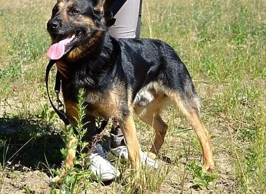 Piękny Zefir :), warmińsko-mazurskie Olsztyn