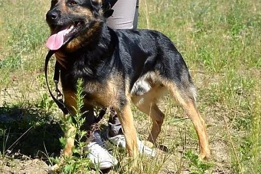 Piękny Zefir :),  warmińsko-mazurskie Olsztyn