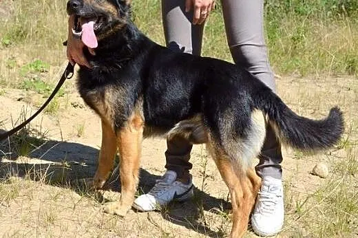 Piękny Zefir :),  warmińsko-mazurskie Olsztyn