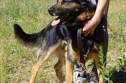 Piękny Zefir :),  warmińsko-mazurskie Olsztyn