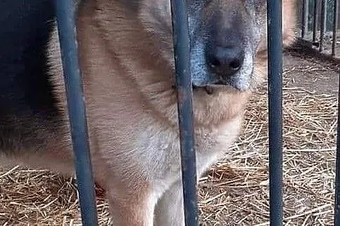 Alex na tropie domu!, Mazowieckie, Warszawa