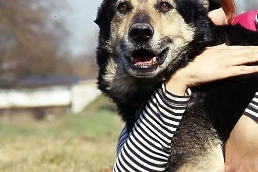 AZOR :) stworzony do Kochania! Skarbnica miłości, 