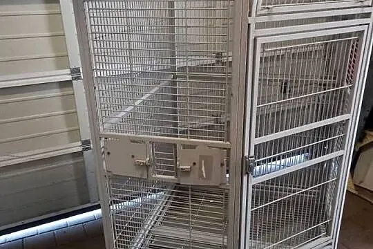 Klatka Montana Denver, Dolnośląskie, Łagiewniki