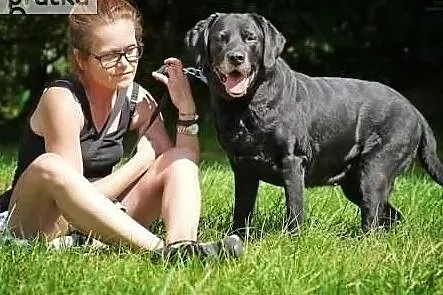 Fiona - przekochana, cudowna sunia pilnie szuka domu, Zachodniopomorskie, Szczecin