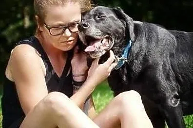 Fiona - przekochana, cudowna sunia pilnie szuka domu, Zachodniopomorskie, Szczecin